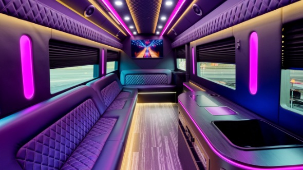 meridian sprinter limo rental rental